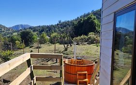 Oasis in the mountain, Quebrada Alvarado, Olmué